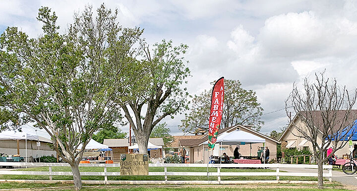 The Grove School farmer's market.